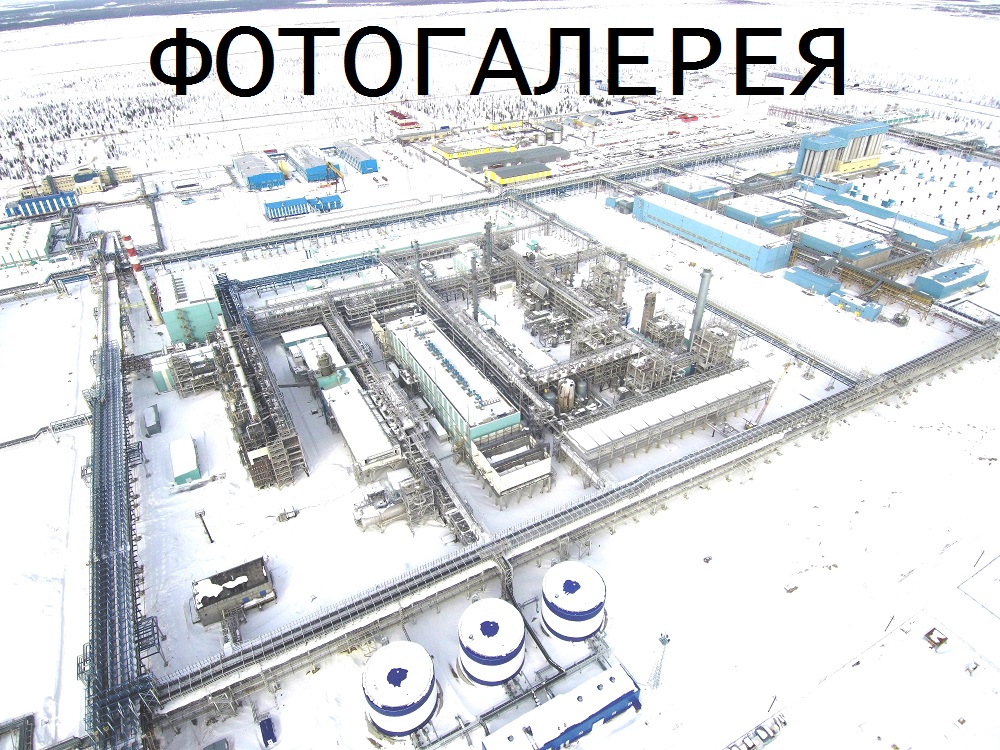 Фотогалерея